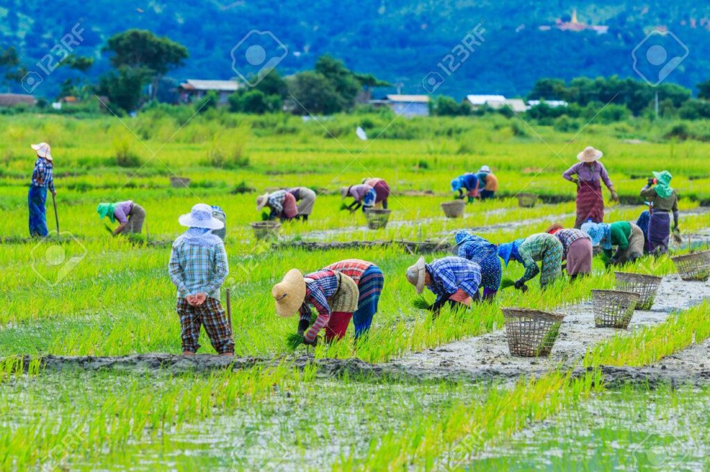 Farming in Uttarakhand