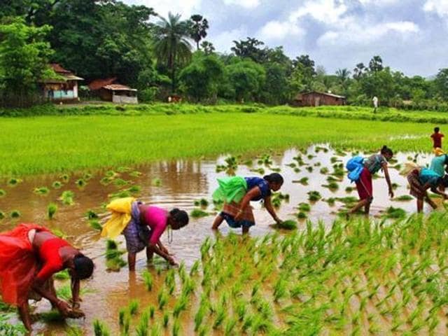 farming uttarakhand