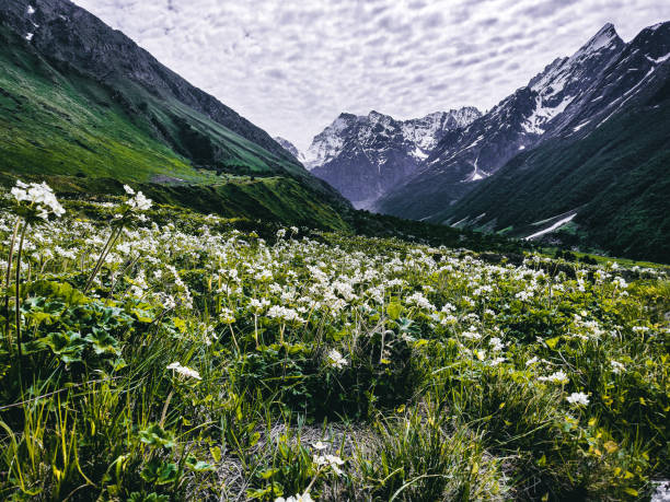 bugyal uttarakhand